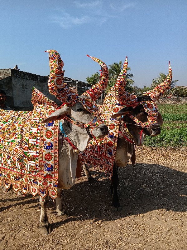 બાદ ના શણગાર જુ...