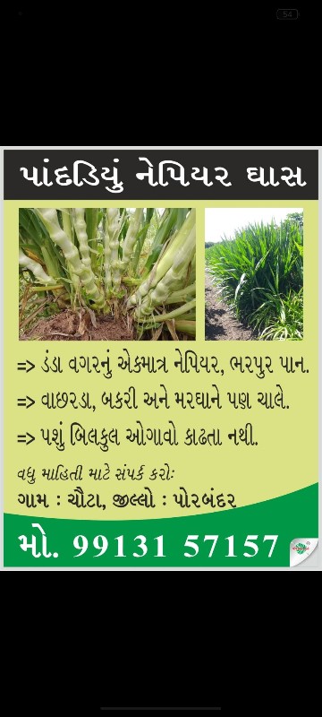 આખા ગુજરાત માં...