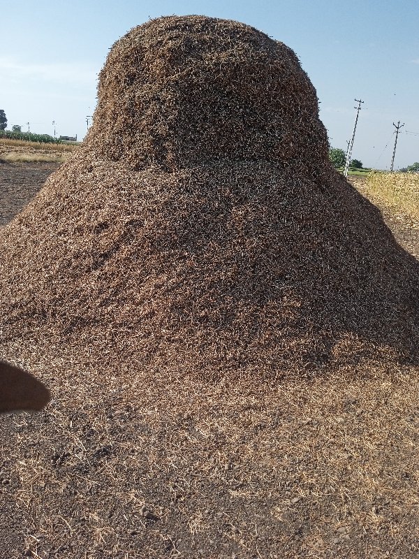 ભુકો. વેશવાનોશે...