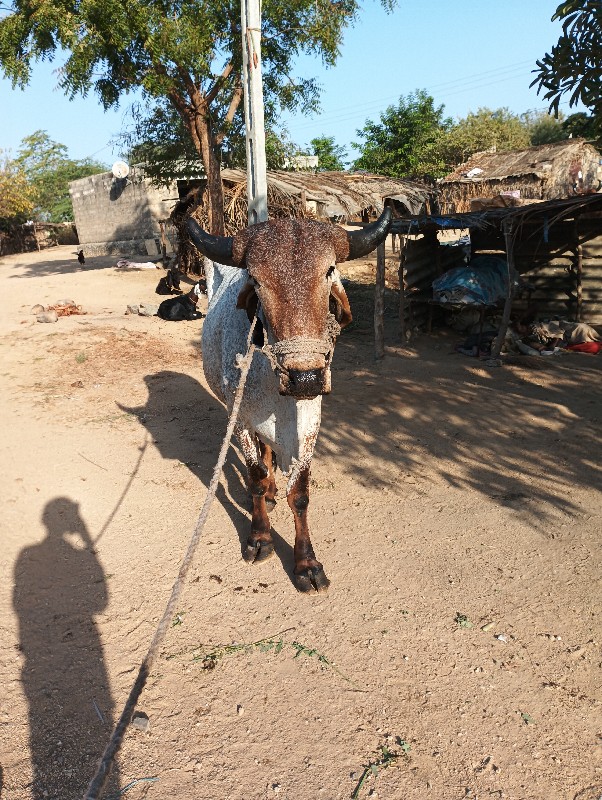 ટોટલ જવાબદારીથી...