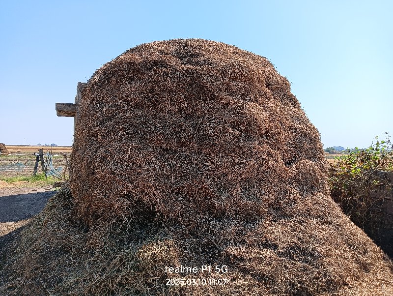 માંડવી નો ભૂકો