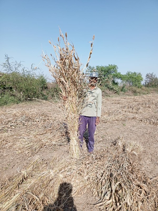 સાર વેચવાની છે