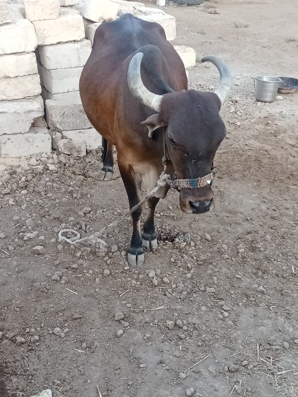 9316818470