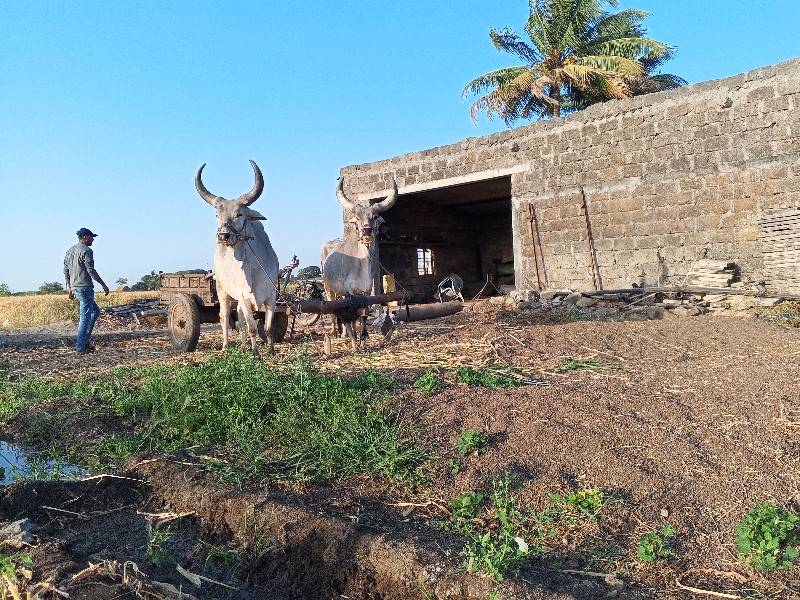 વેચવાના છે