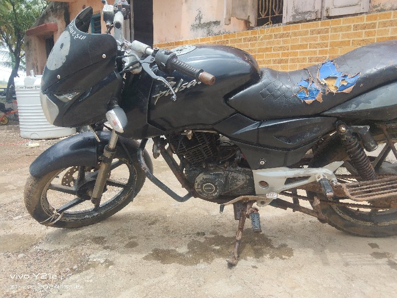 palsar 150 cc