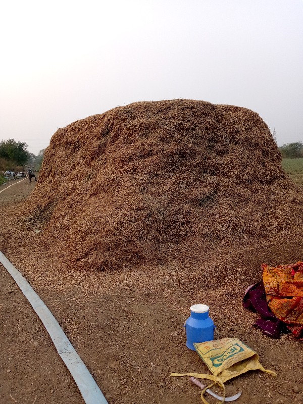 ભુકો વેચવાનો છે...