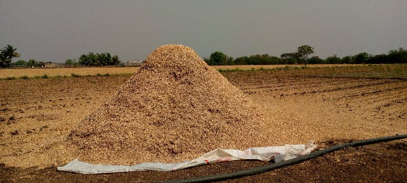 ચણા નું ખારયુ વ...