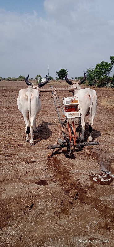 વેચવા ના છે