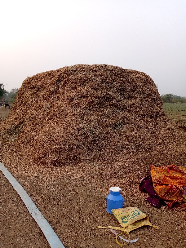 ભુકો વેચવાનો છે...