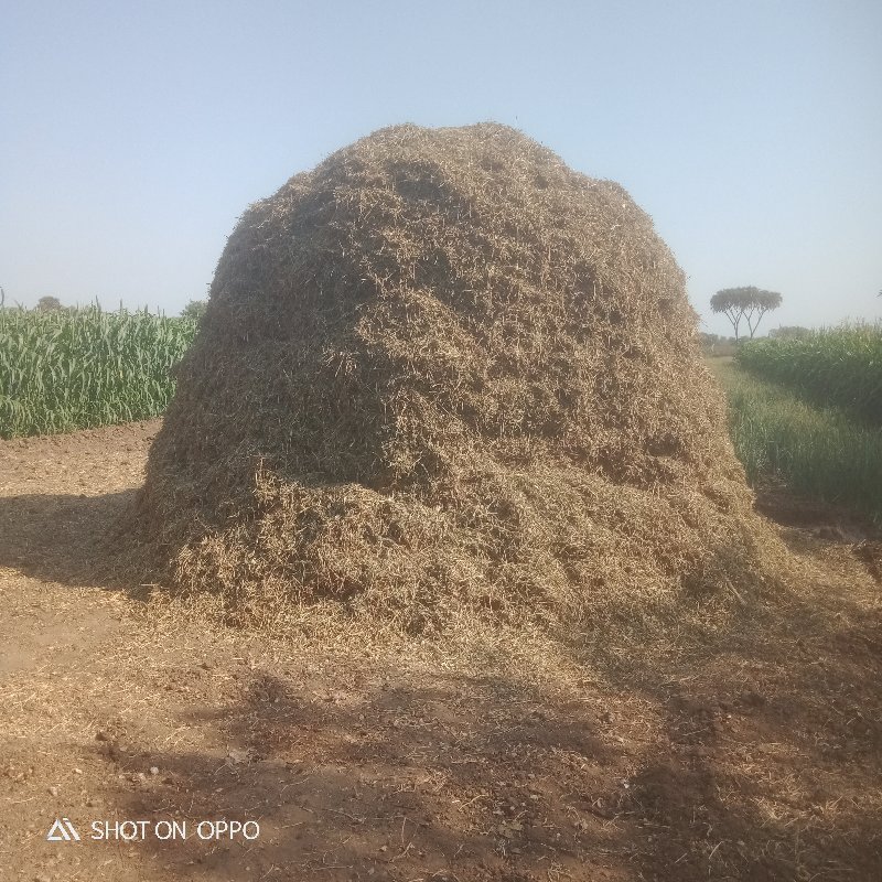 મગફળી નો ભુકો વ...