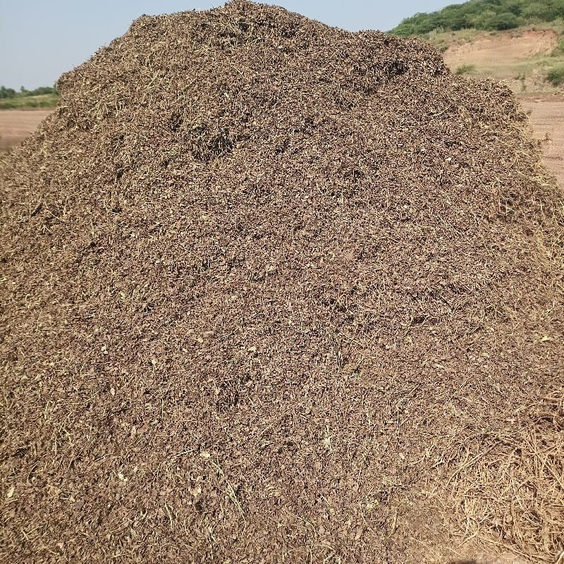 જી૨૦ નો ભૂકો