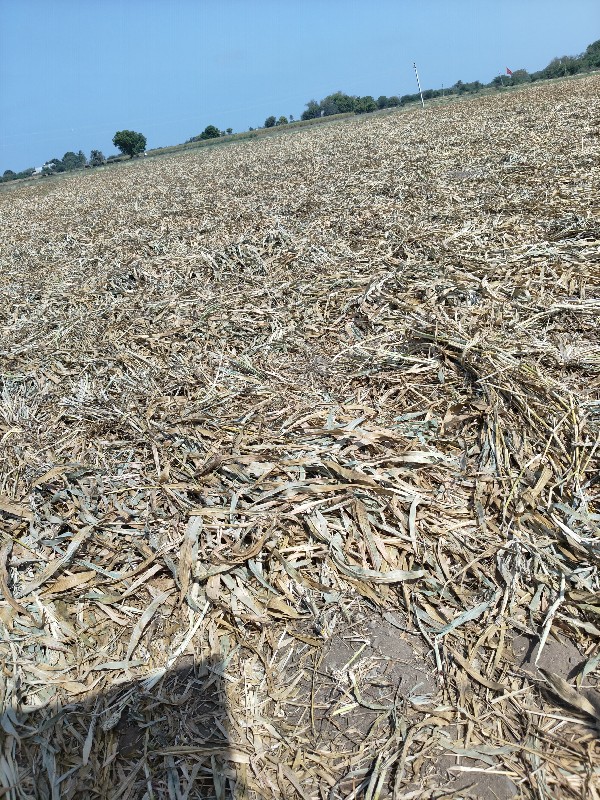 નીરણ વેસવા ની છ...
