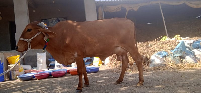 ઍ