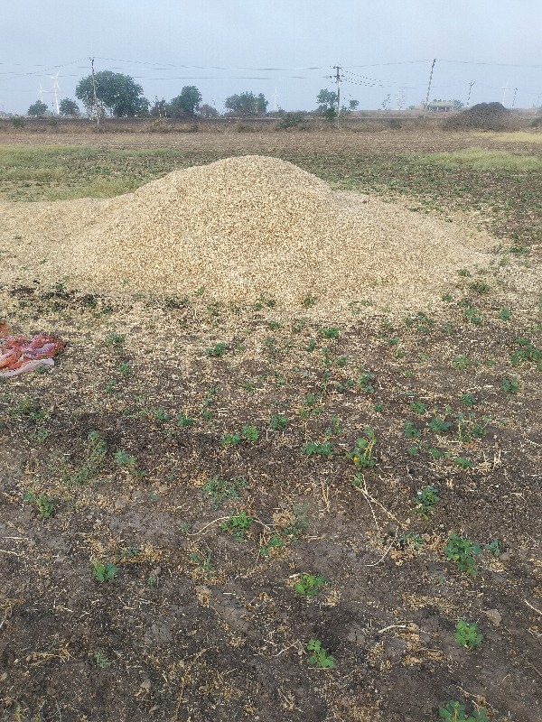 મેથી નો ભૂકો