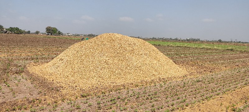 ચણાનુ  ખારિયુ...