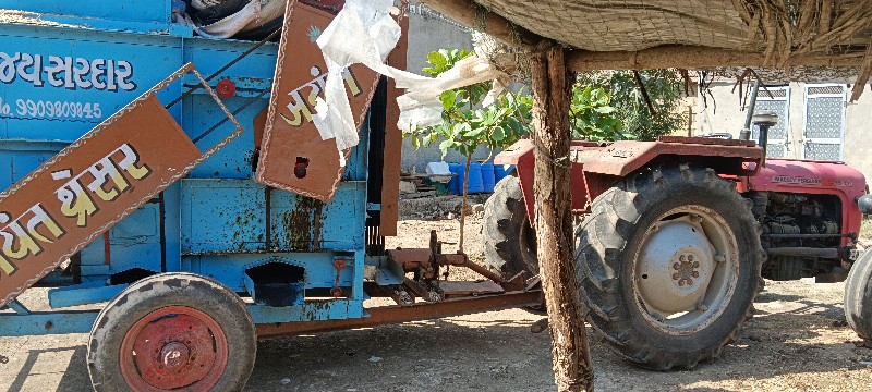 Massey standerd