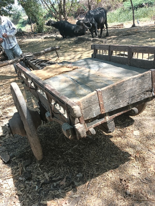 to kar gado se