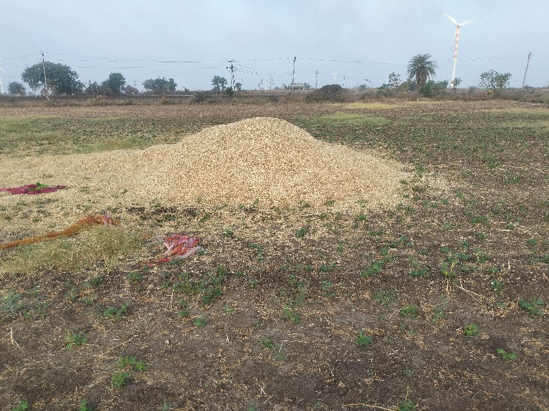 મેથી નો ભૂકો