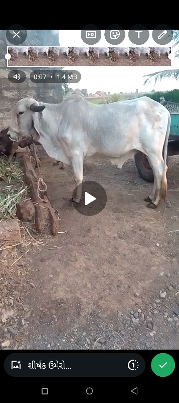 સાવ સોજો છે