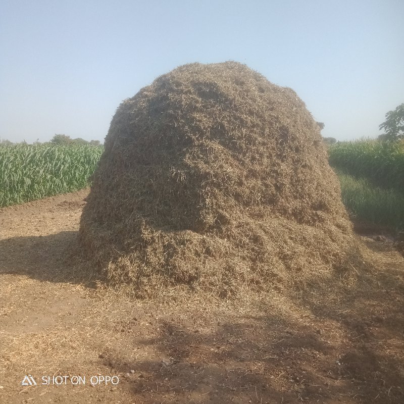 મગફળી નો ભુકો વ...
