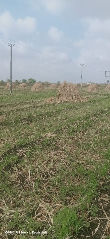 જુવાર‌ વેચવા ની...