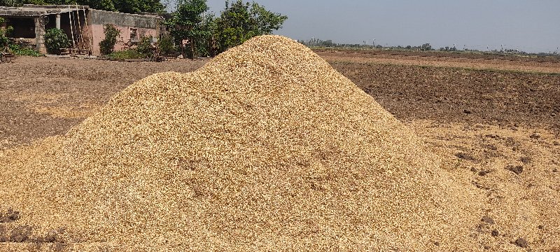 ચણાનુ  ખારિયુ...