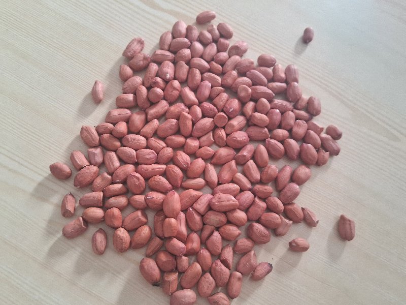 k 41 બઢડી છે
