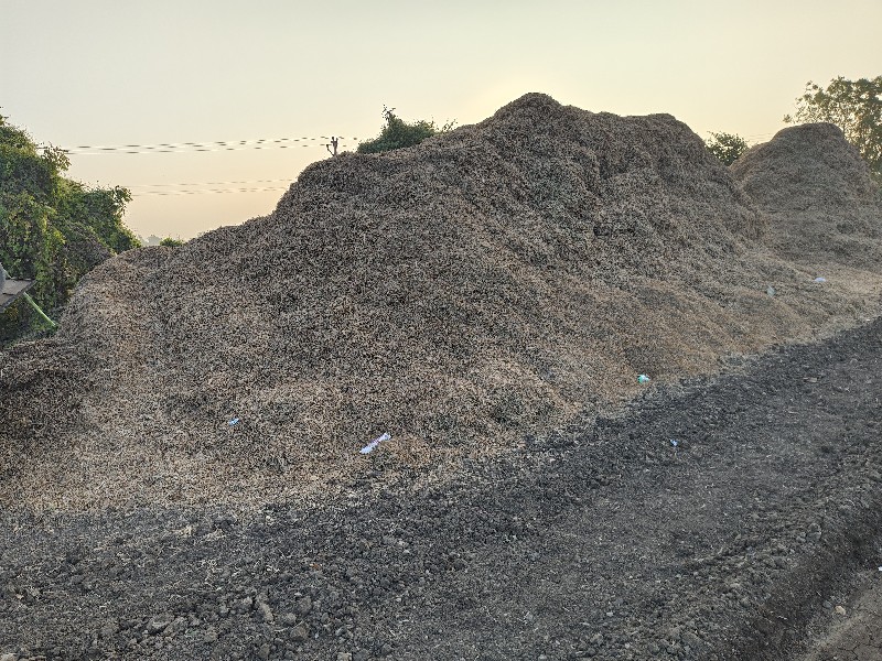નવો અને સાવ કોર...