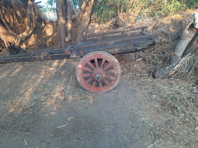 ગાડી