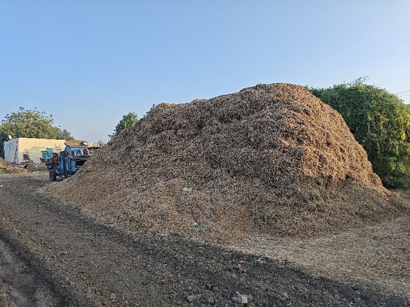 નવો અને સાવ કોર...
