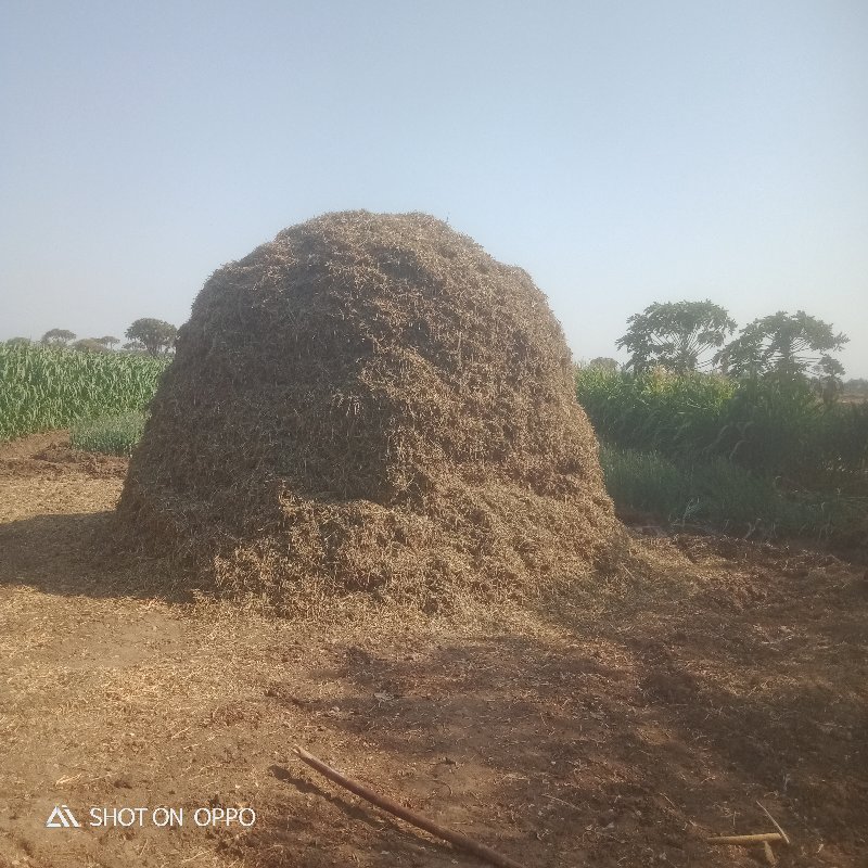 મગફળી નો ભુકો વ...