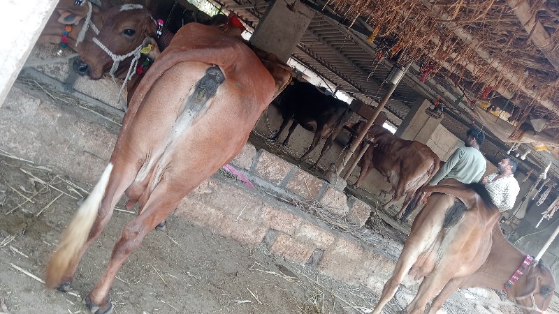 ઍ