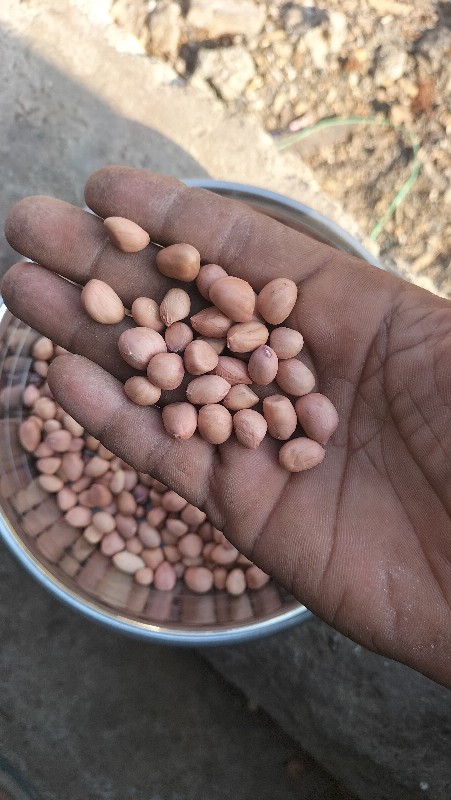 ૯ નંબર માંડવી ન...