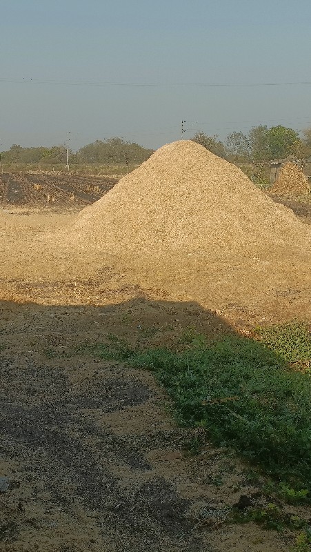 ચણા નું ખારિયુ...
