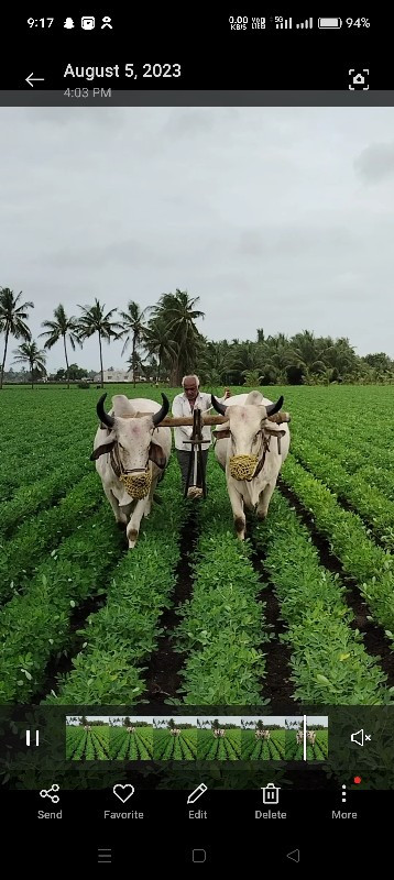 ગોઢલા વેચવાના છ...