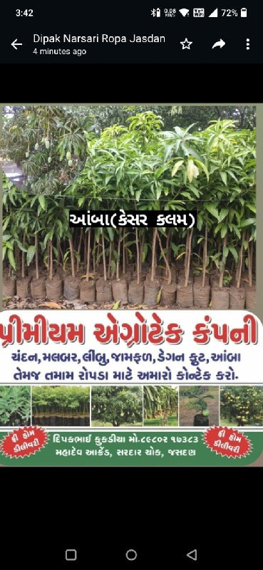 તમામ બાગાયતી રો...