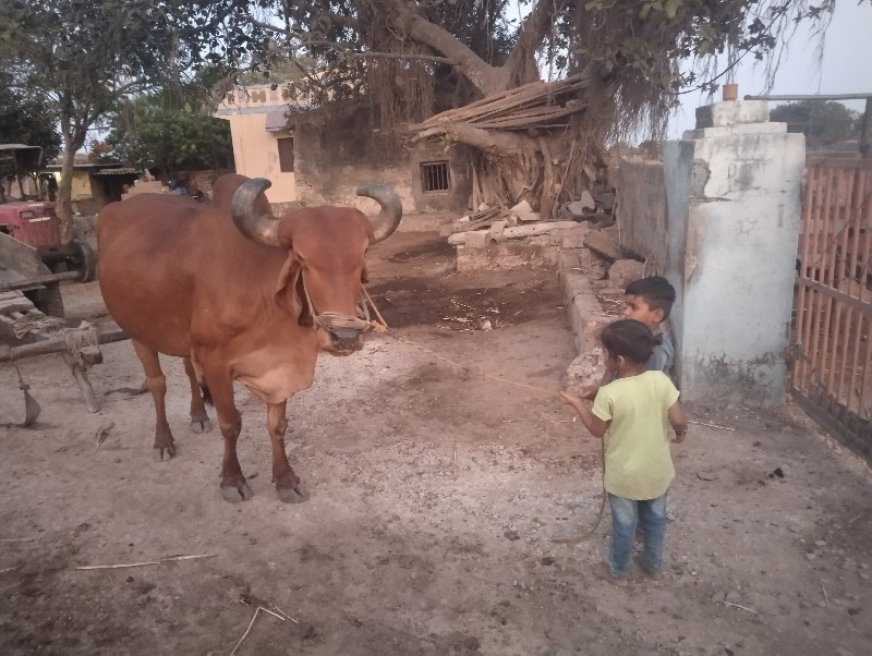 બણધ વેશવાનો છે...