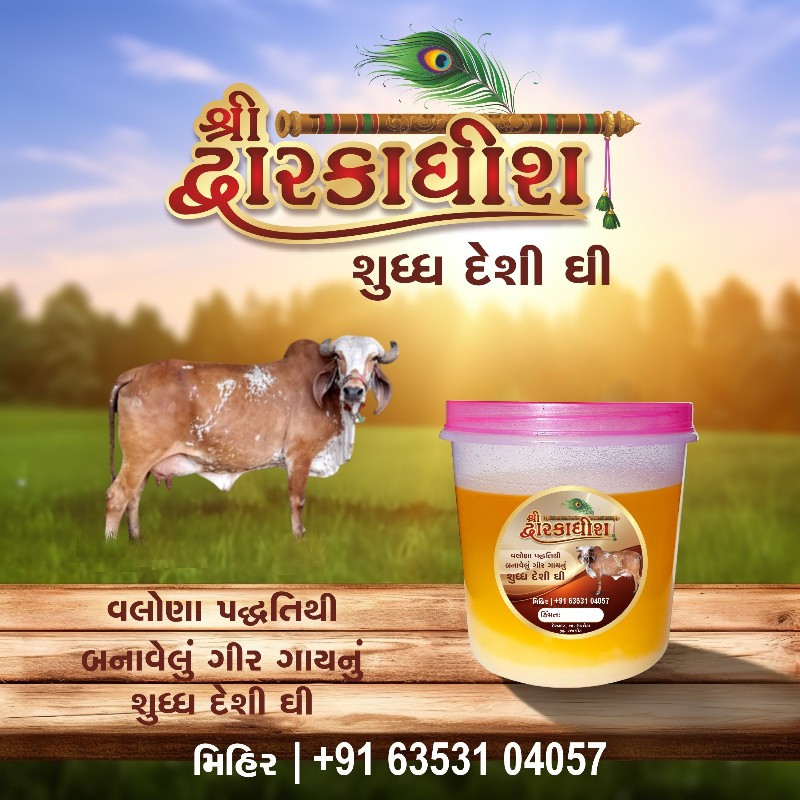 ગીર ગાયનુ ઘી