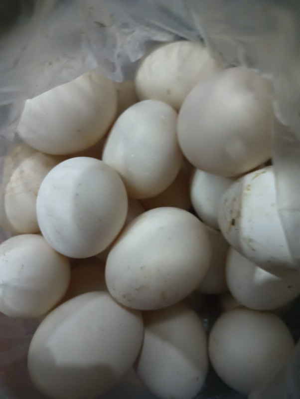 Desi eggs