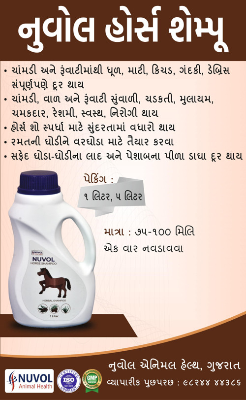 નુવોલ હોસઁ શેમ્...