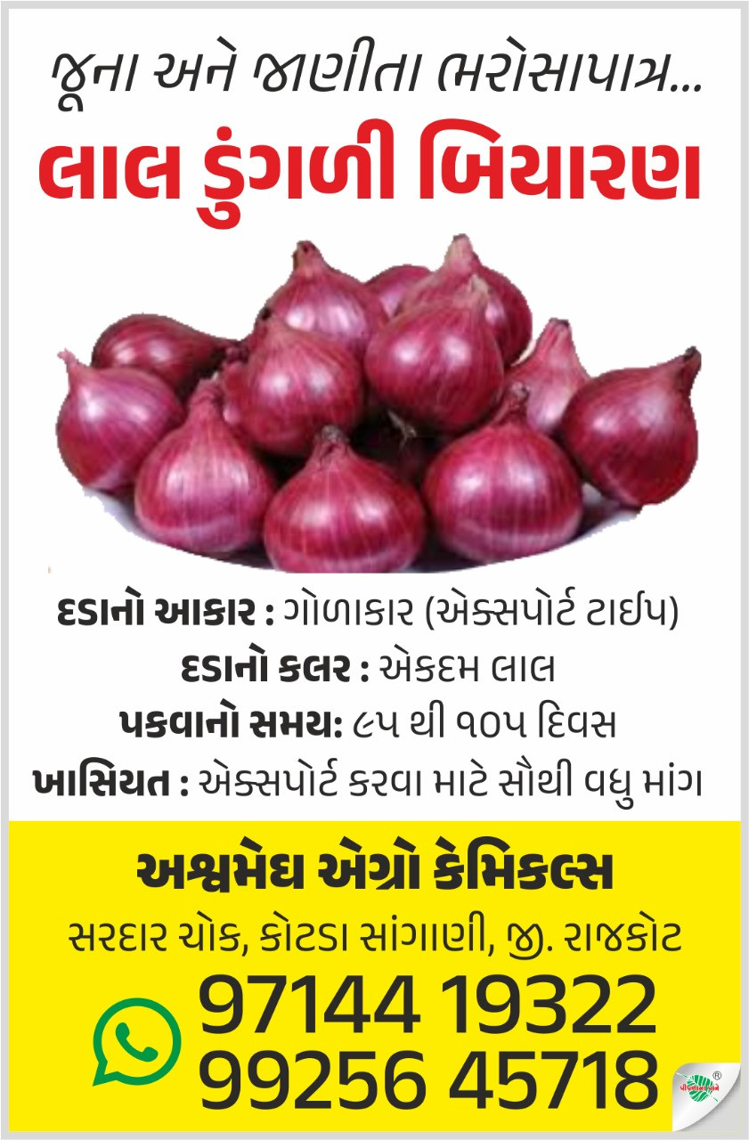 લાલ ડુંગળી બિયા...