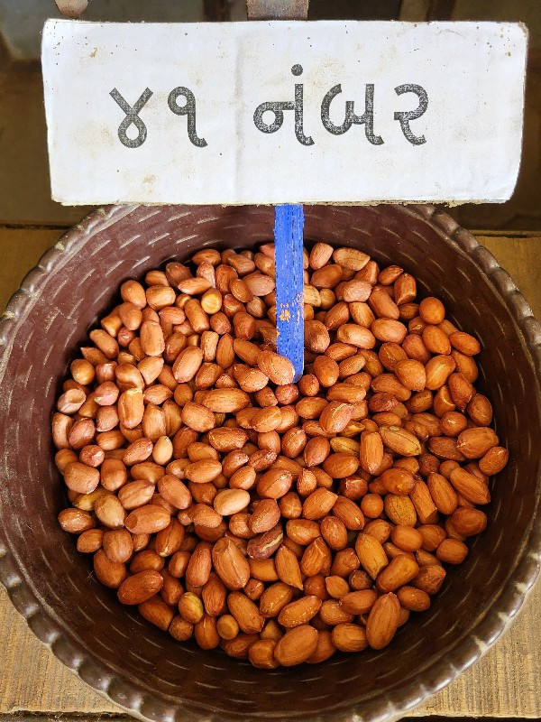 મગફળી બિયારણ