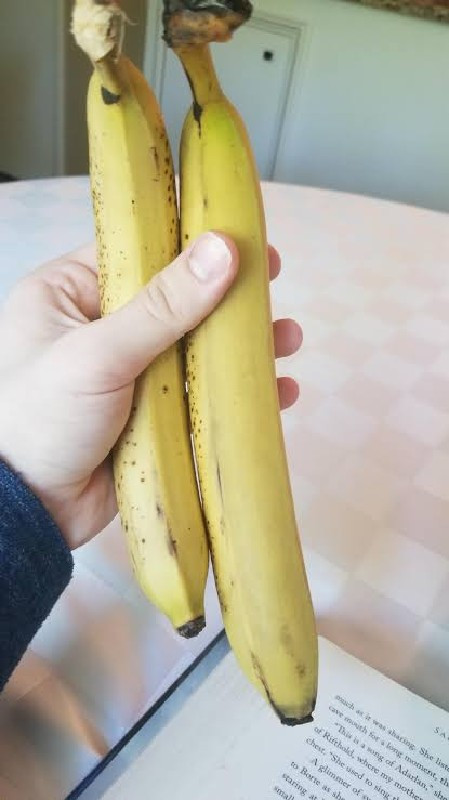 લાંબા કેળા ના ર...