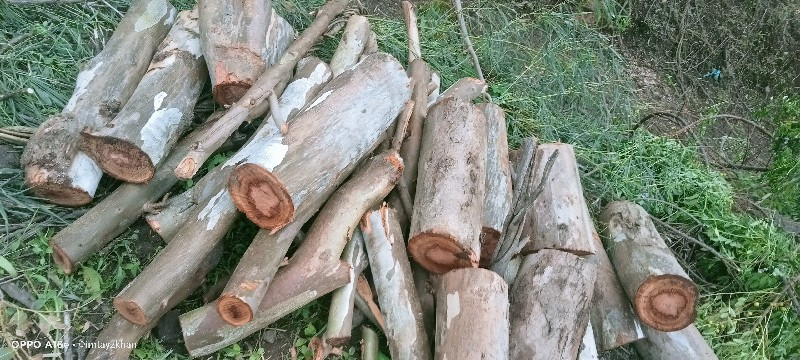 લાકડા કટીંગ