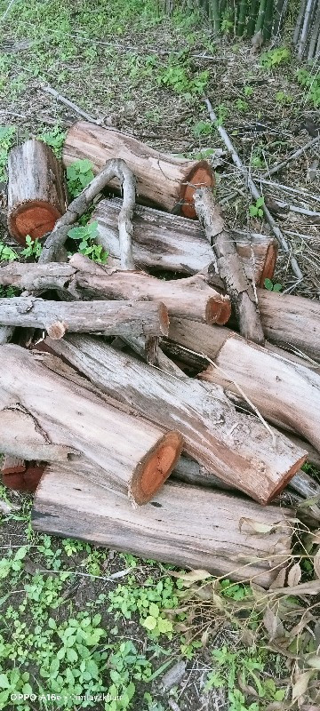 લાકડા કટીંગ કરવ...