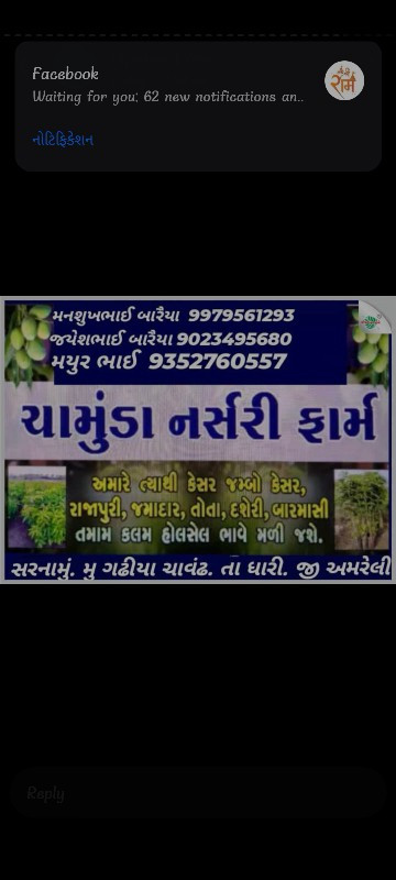 કેશર કલમ ગેરંટી...