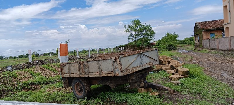 ટોલી વેચવાનીસે