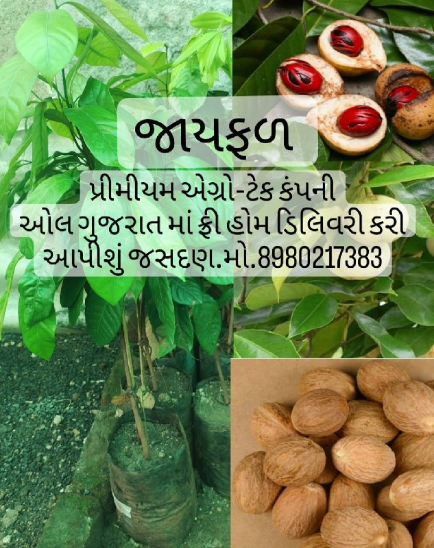 ટોટલ બાગાયતી રો...