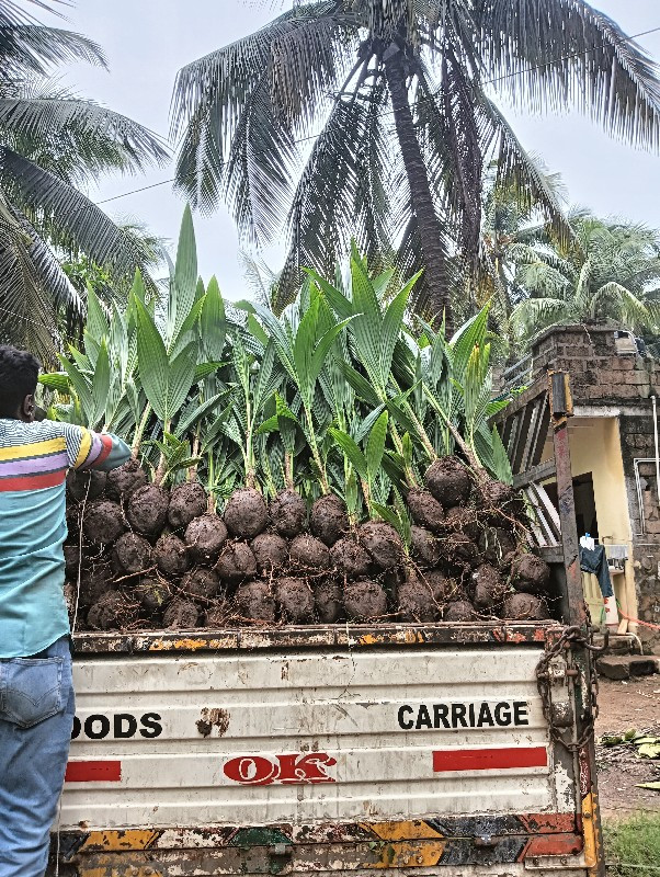 દરેક પ્રકારના ન...