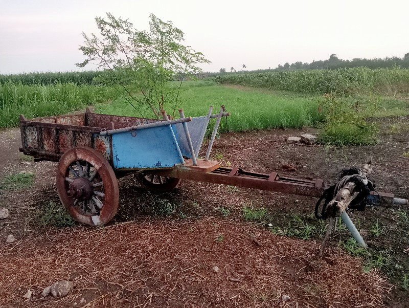 બળદ ગાડી